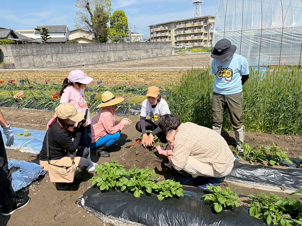 「ポテト部2026」大成功!!