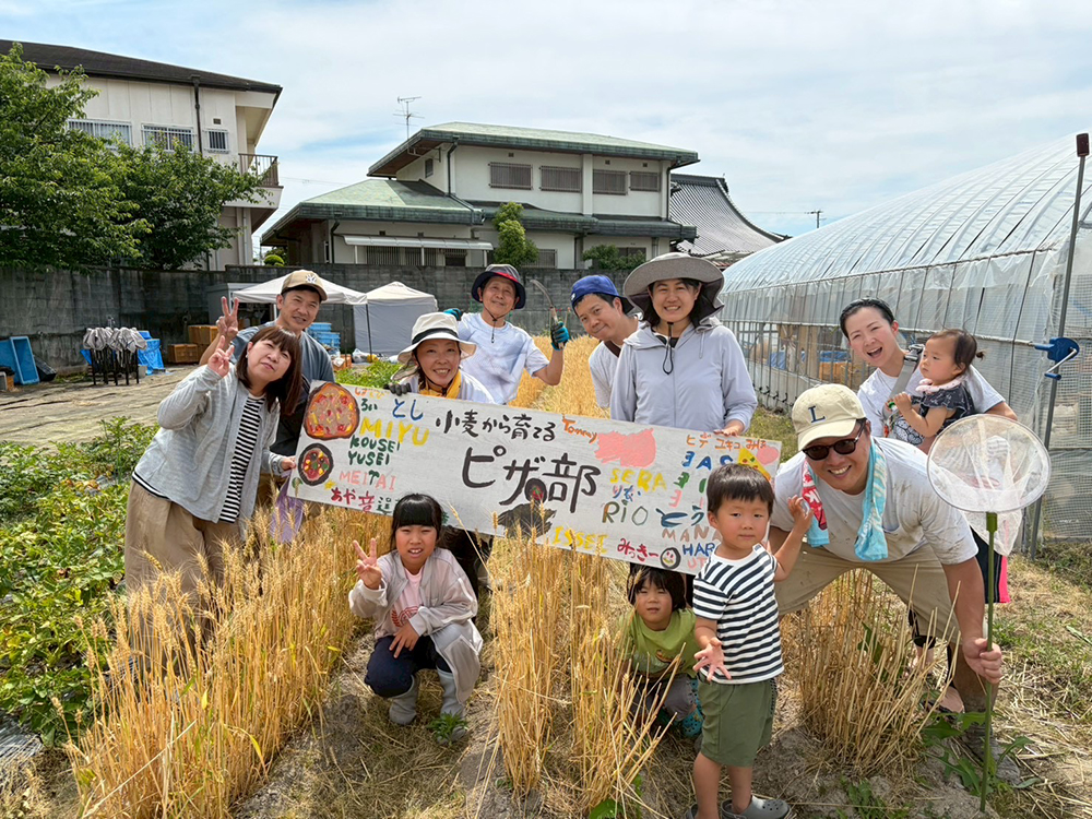 いよいよ小麦の収穫です！！